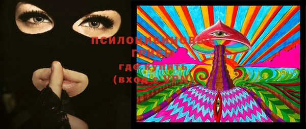 синтетический гашиш Заводоуковск