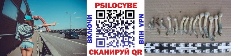 Псилоцибиновые грибы мицелий  Сосенский 